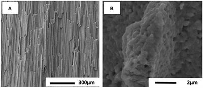 Synthesis of Functional Ceramic Supports by Ice Templating and Atomic Layer Deposition